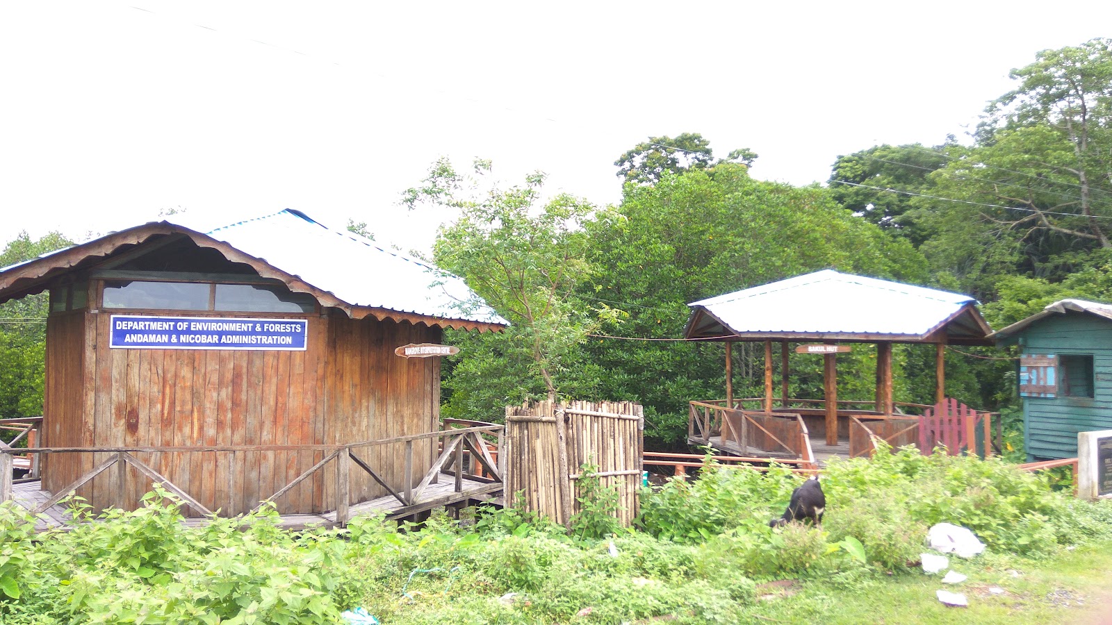 Middle Andaman Mangrove Creeks