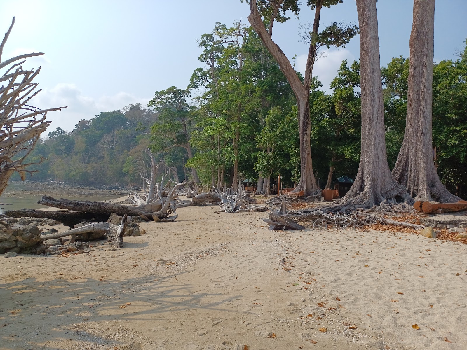 Turtle Nesting Site (seasonal)