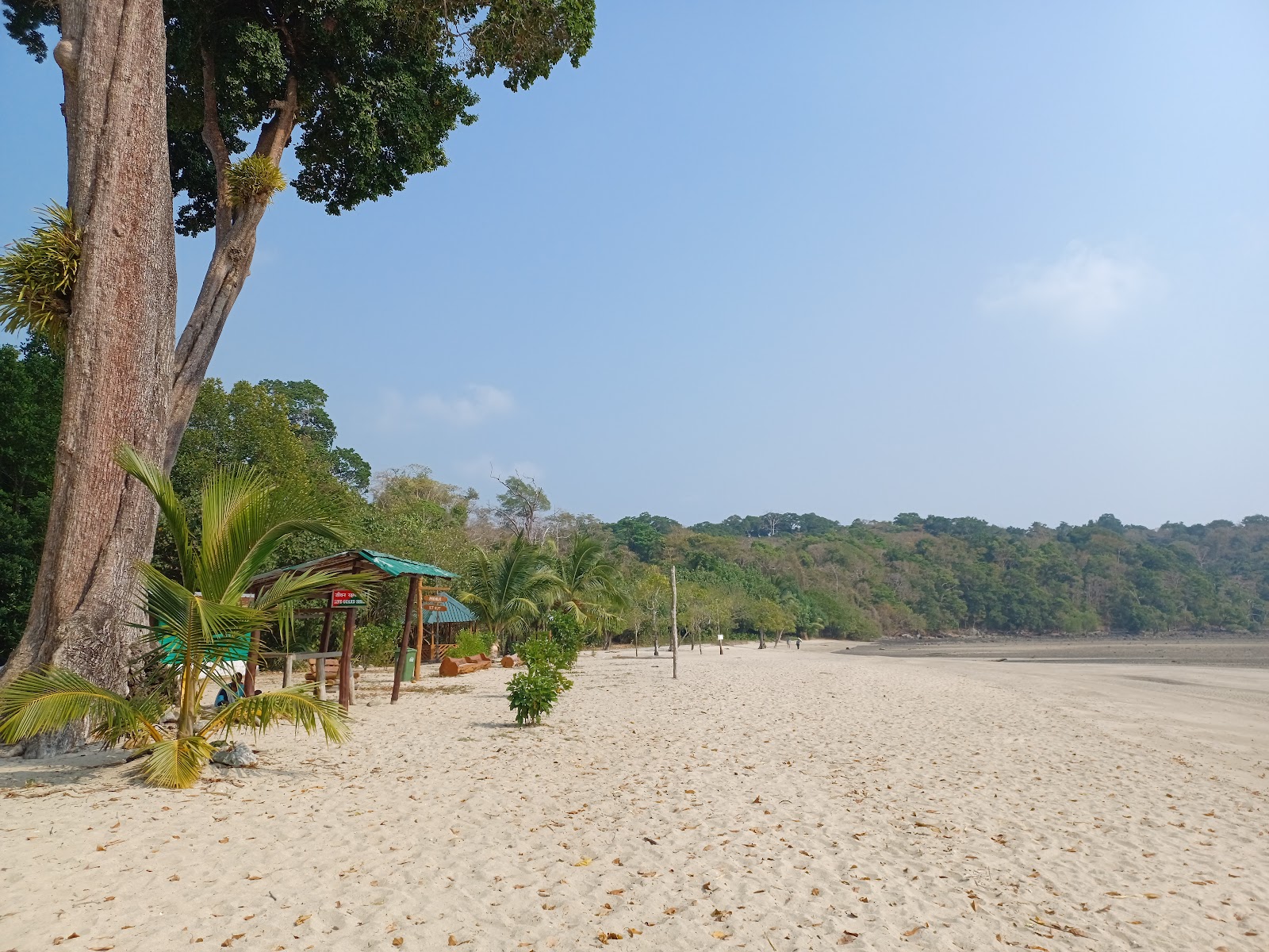 Turtle Nesting Site (seasonal)