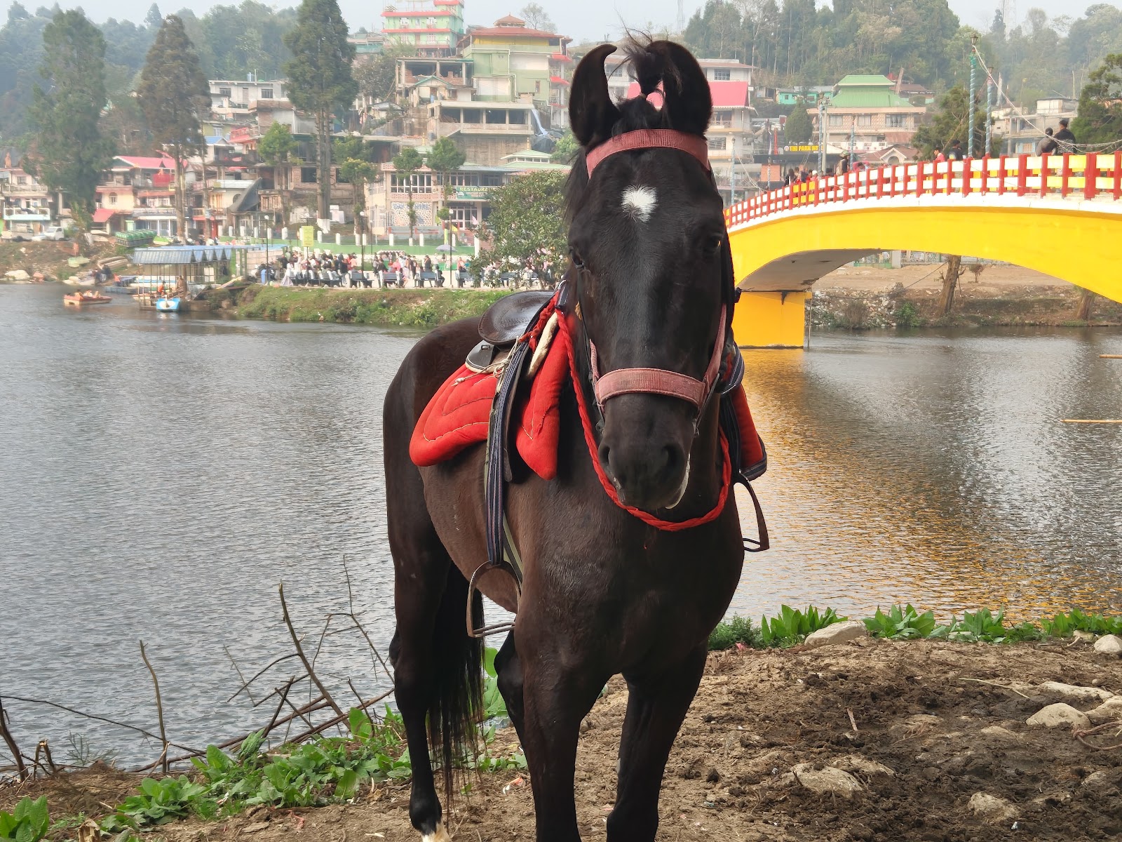 Mirik Lake