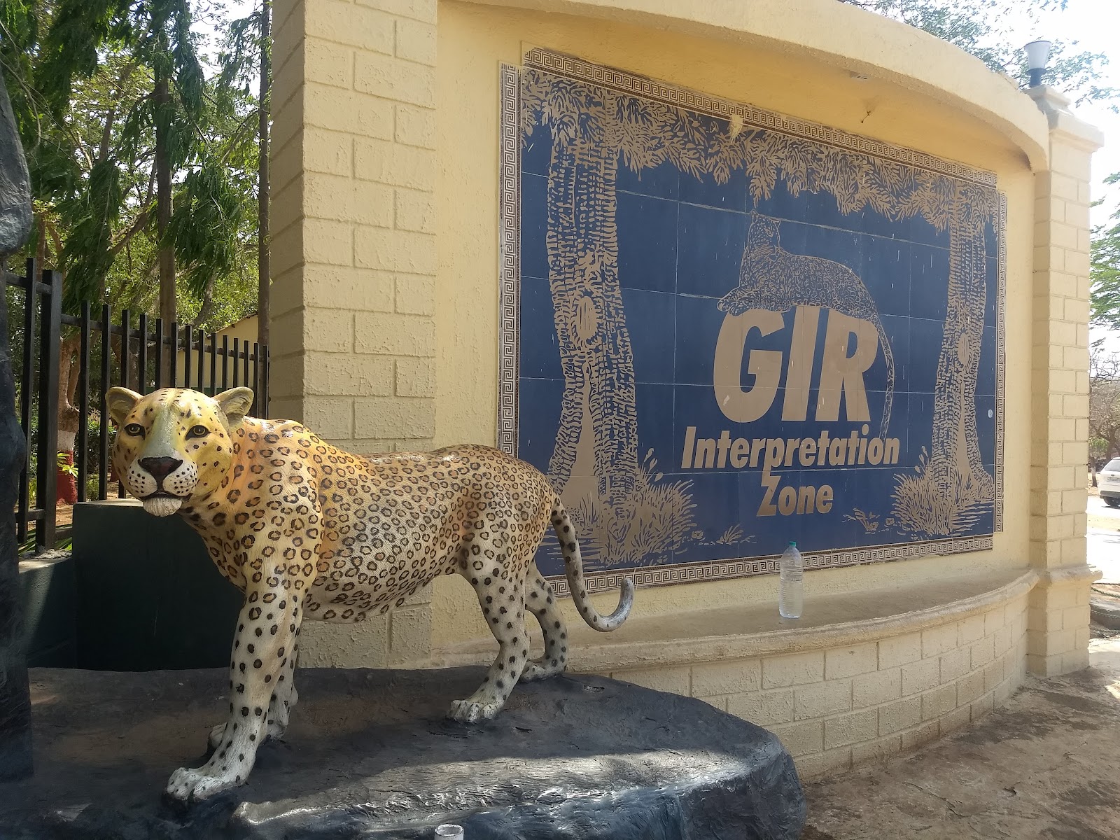 Gir National Park