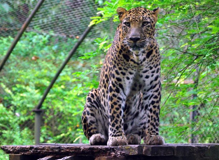 Bondla Wildlife Sanctuary