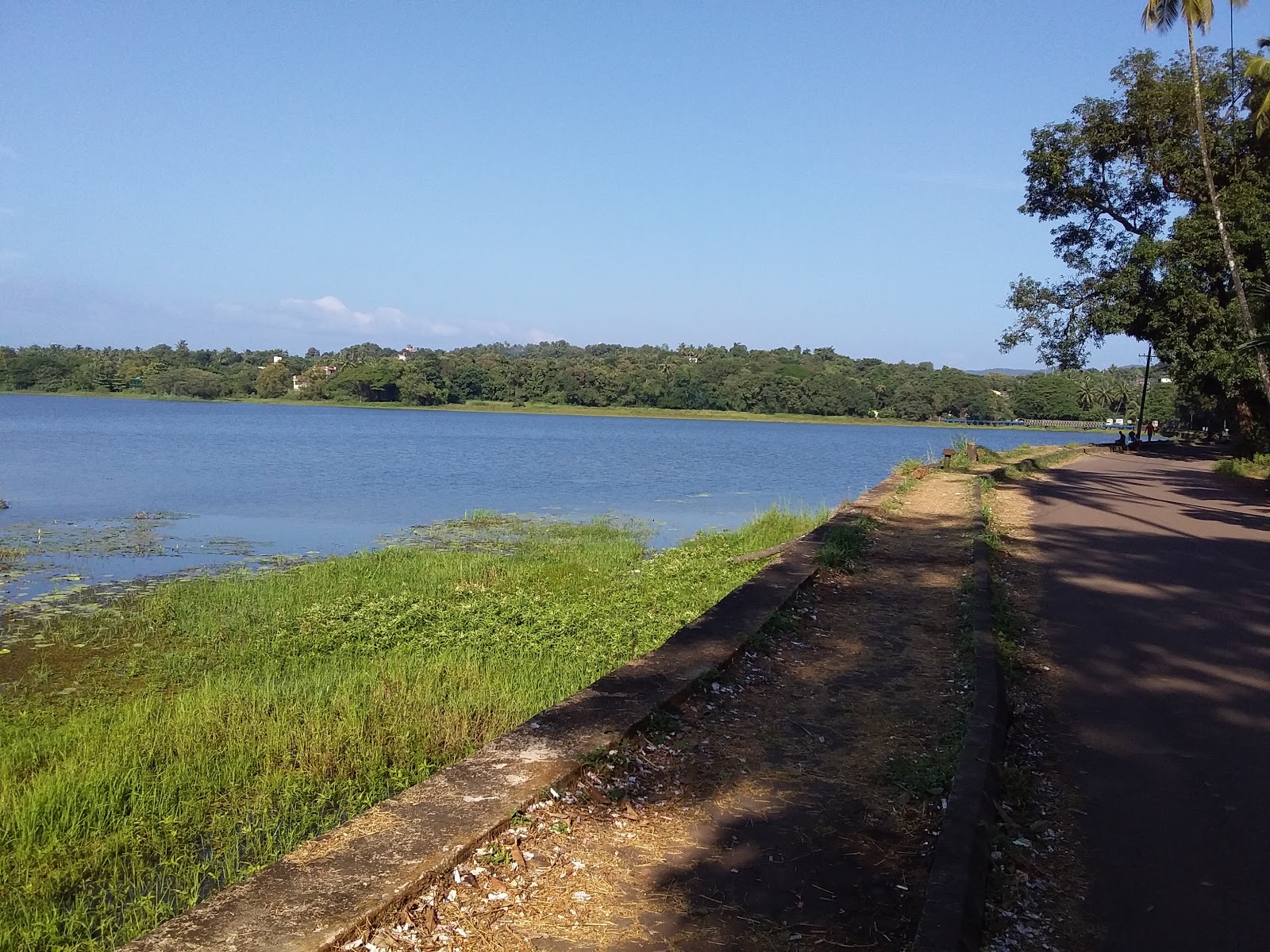 Carambolim Lake