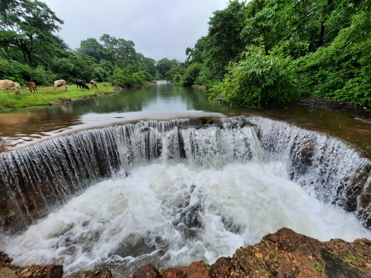 Mollem National Park