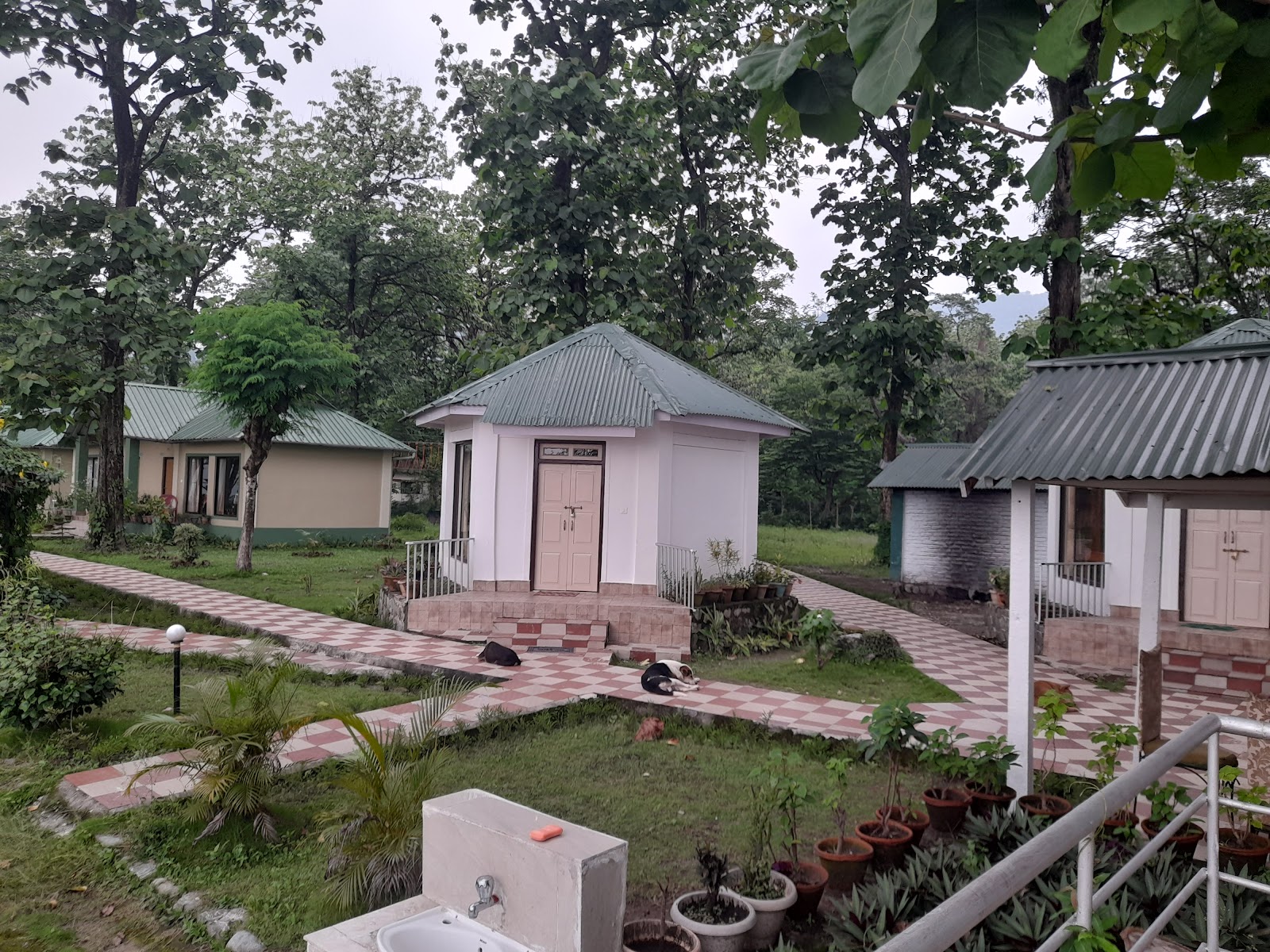 Mongpong - A Nature Retreat in West Bengal