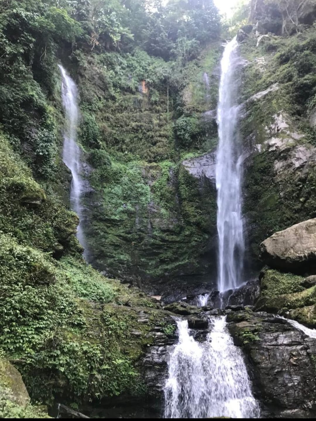 Peshok Tea Garden