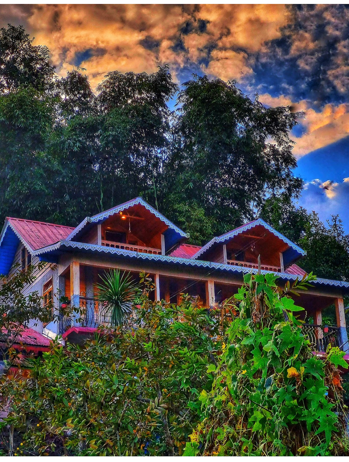 Mongpoo Tea Estate