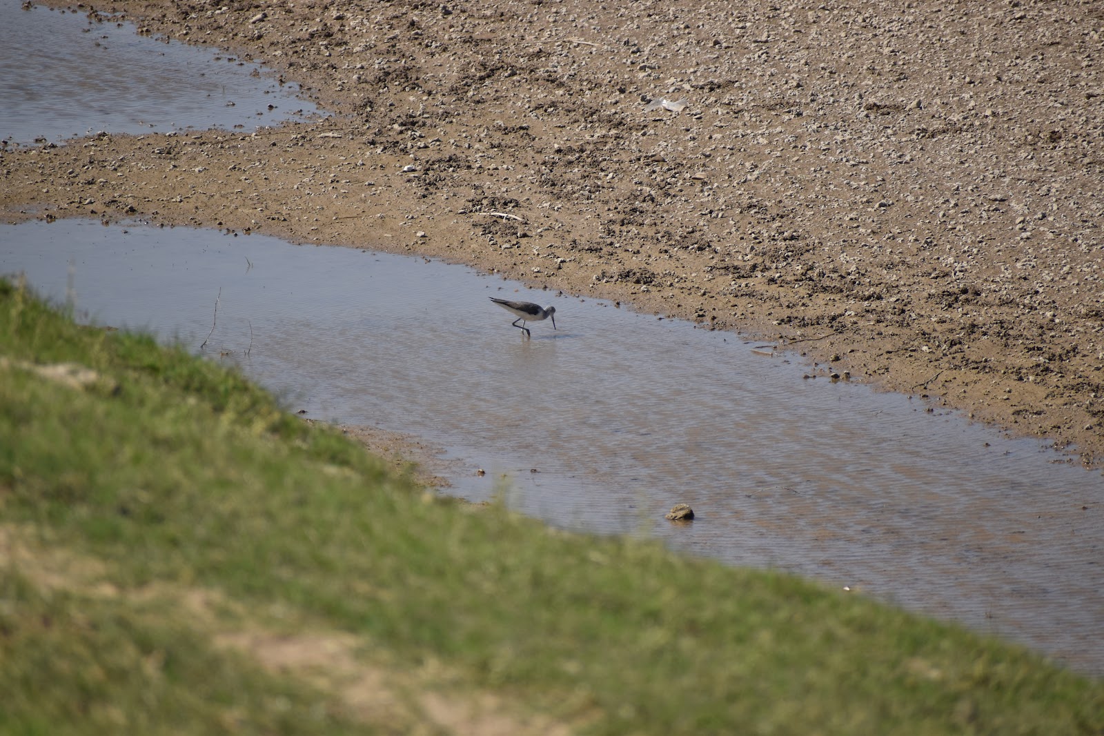 National Chambal Sanctuary