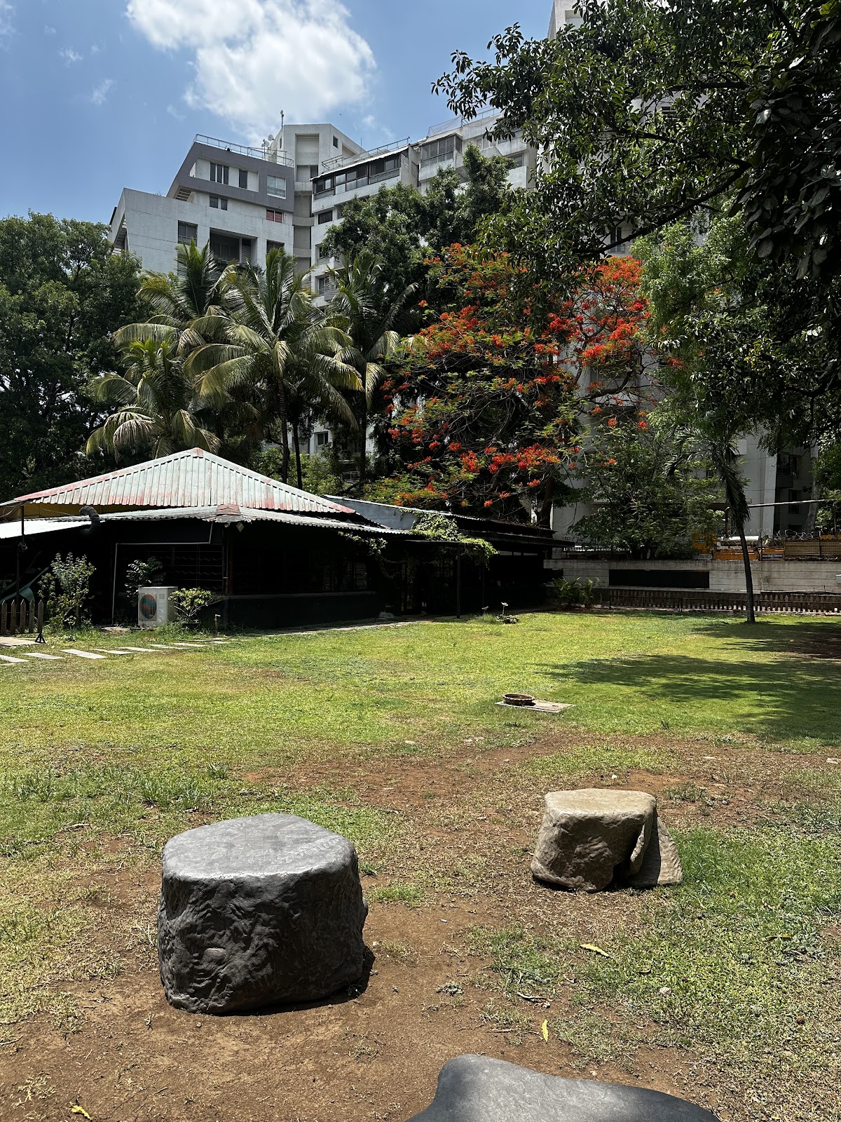 Local Art Exhibitions