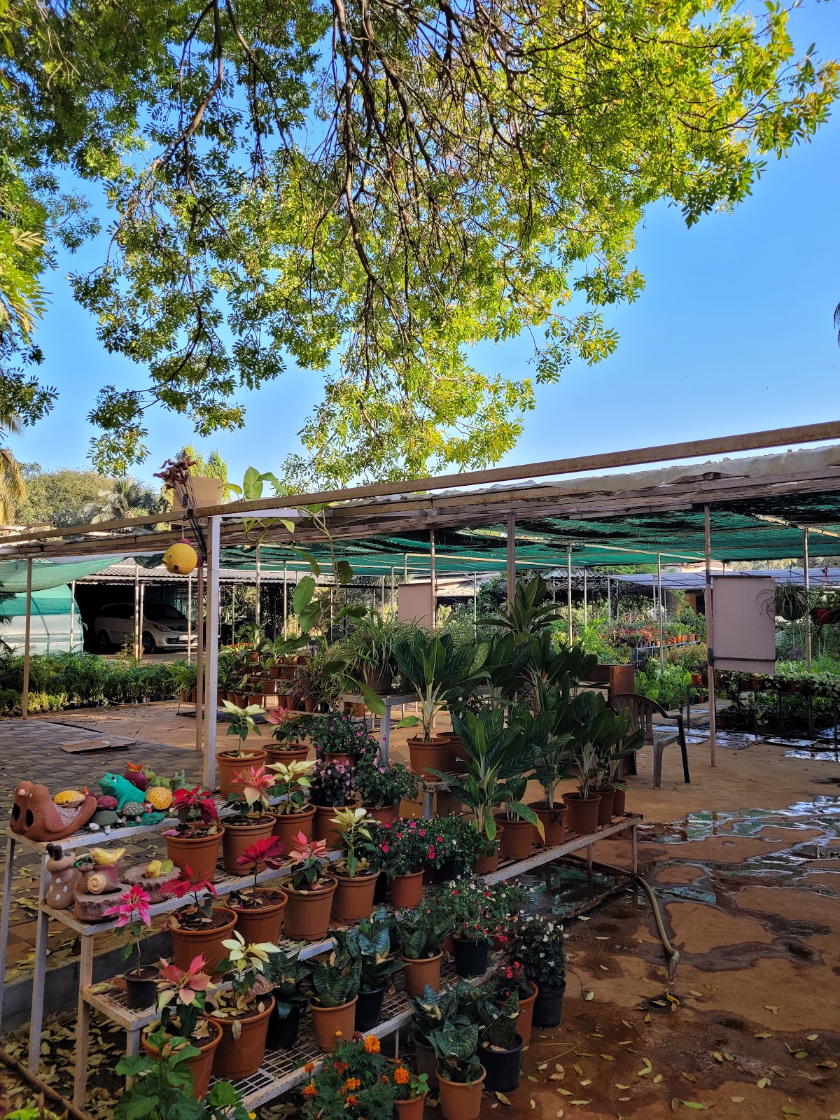 Local Art Exhibitions