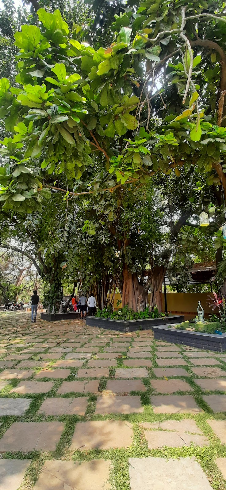 Local Art Exhibitions