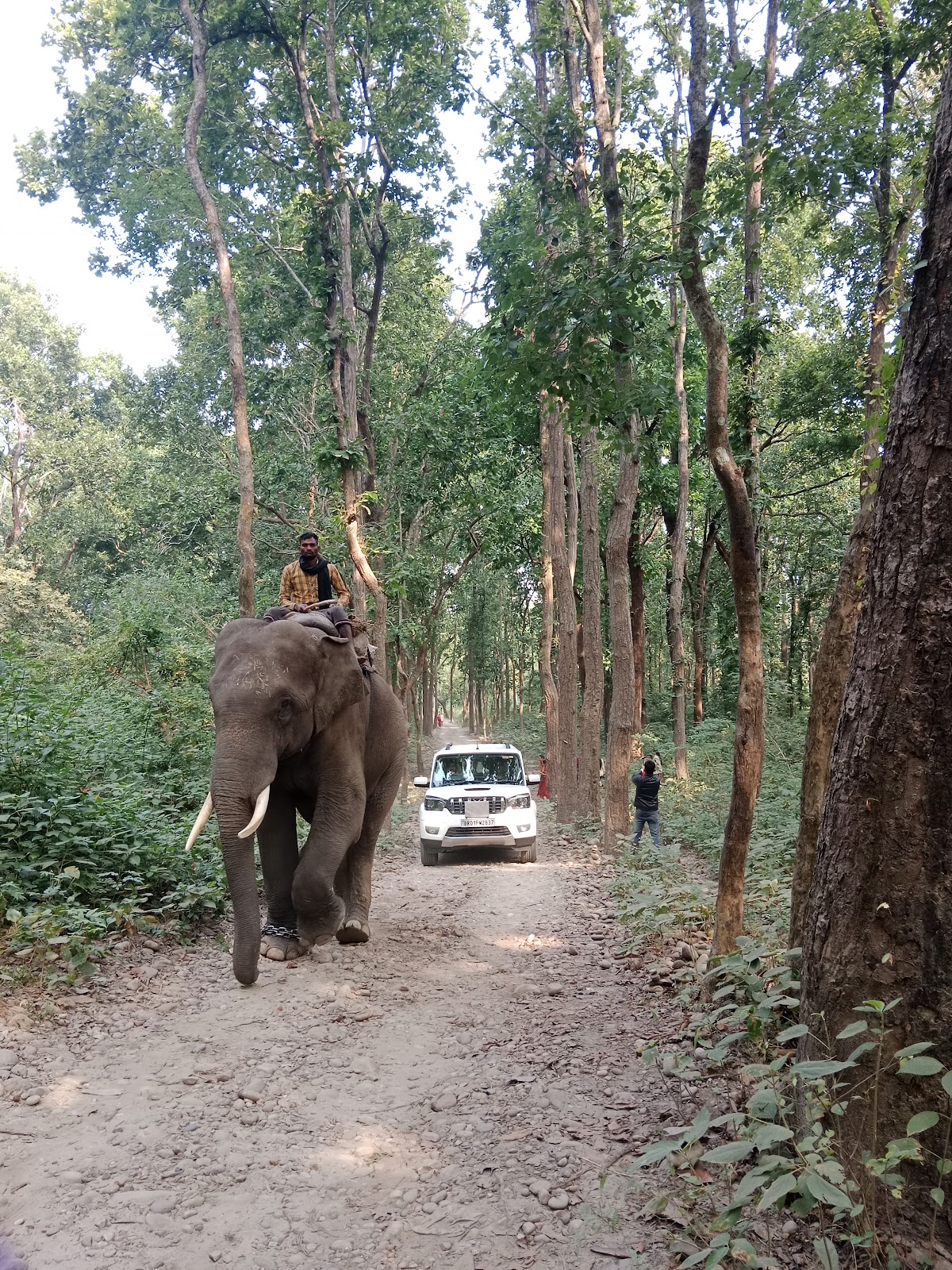 Bhagwan Valmiki Park