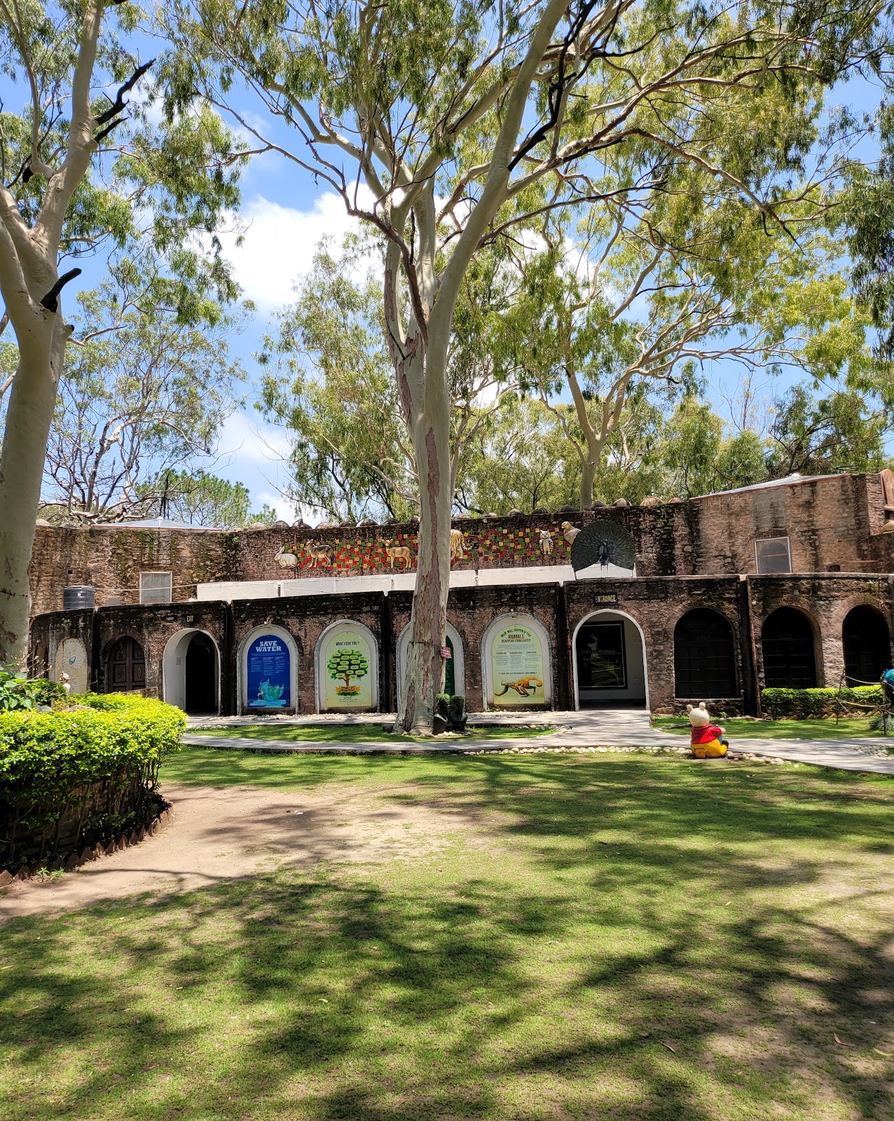 Morni Hills - A Serene Hill Station in Haryana, India