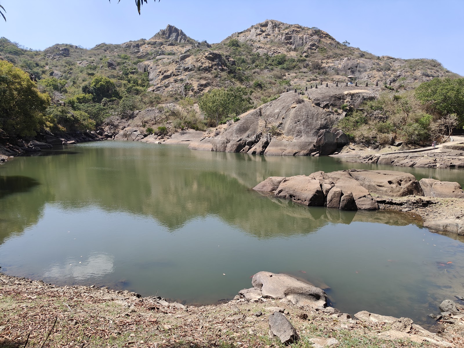 Mount Abu Wildlife Sanctuary