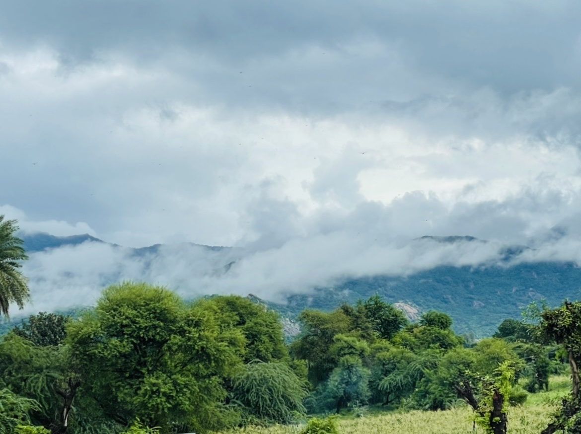 Mount Abu Wildlife Sanctuary