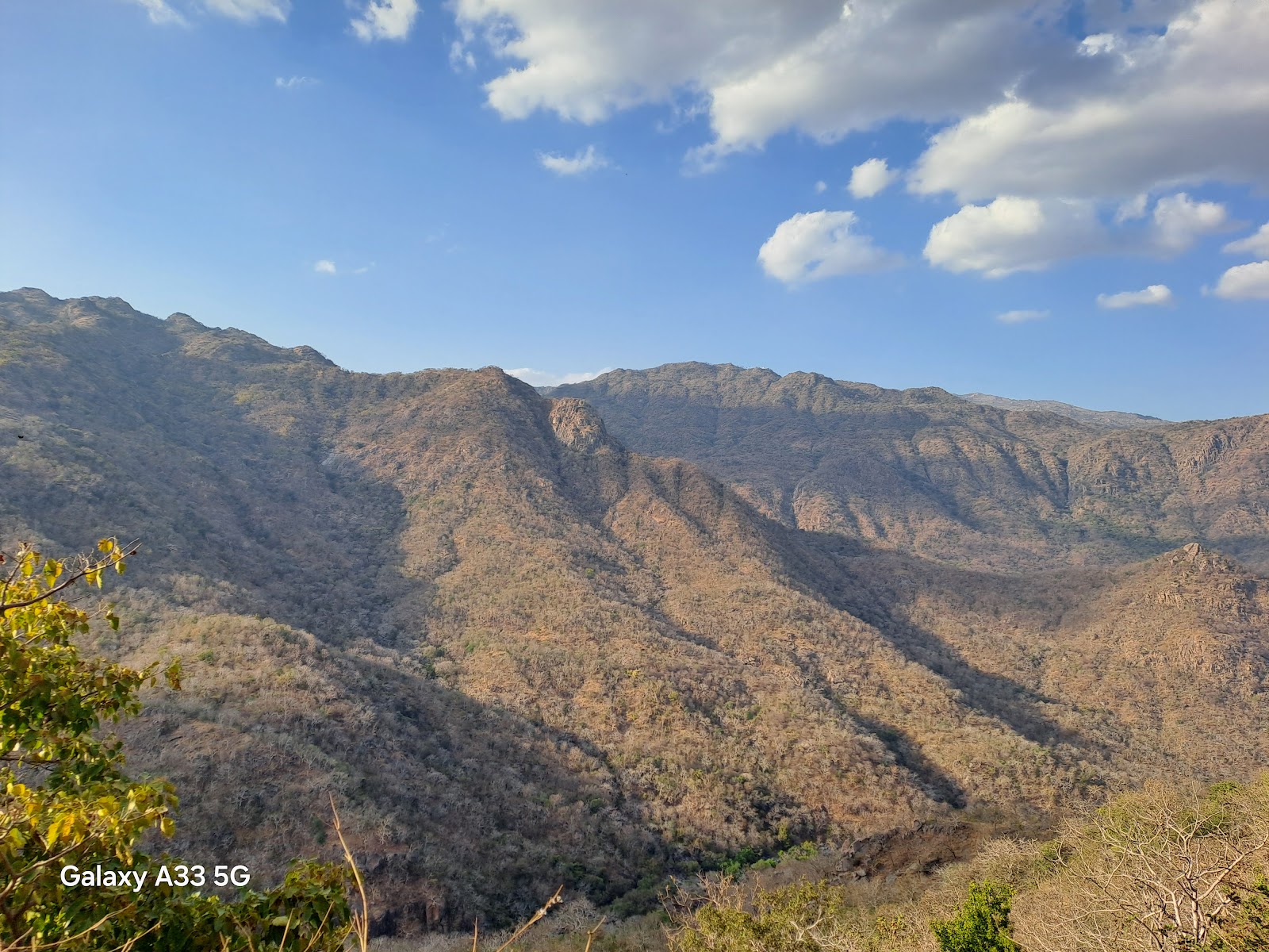 Mount Abu Wildlife Sanctuary