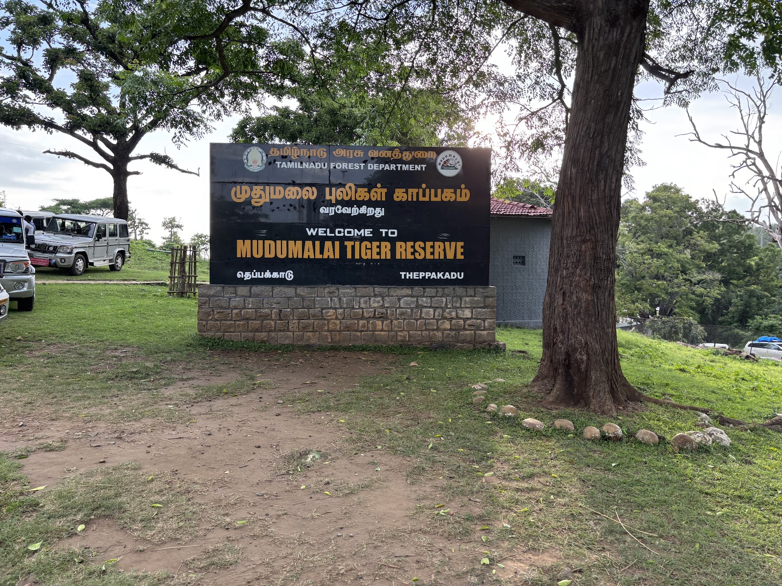 Theppakadu Elephant Camp