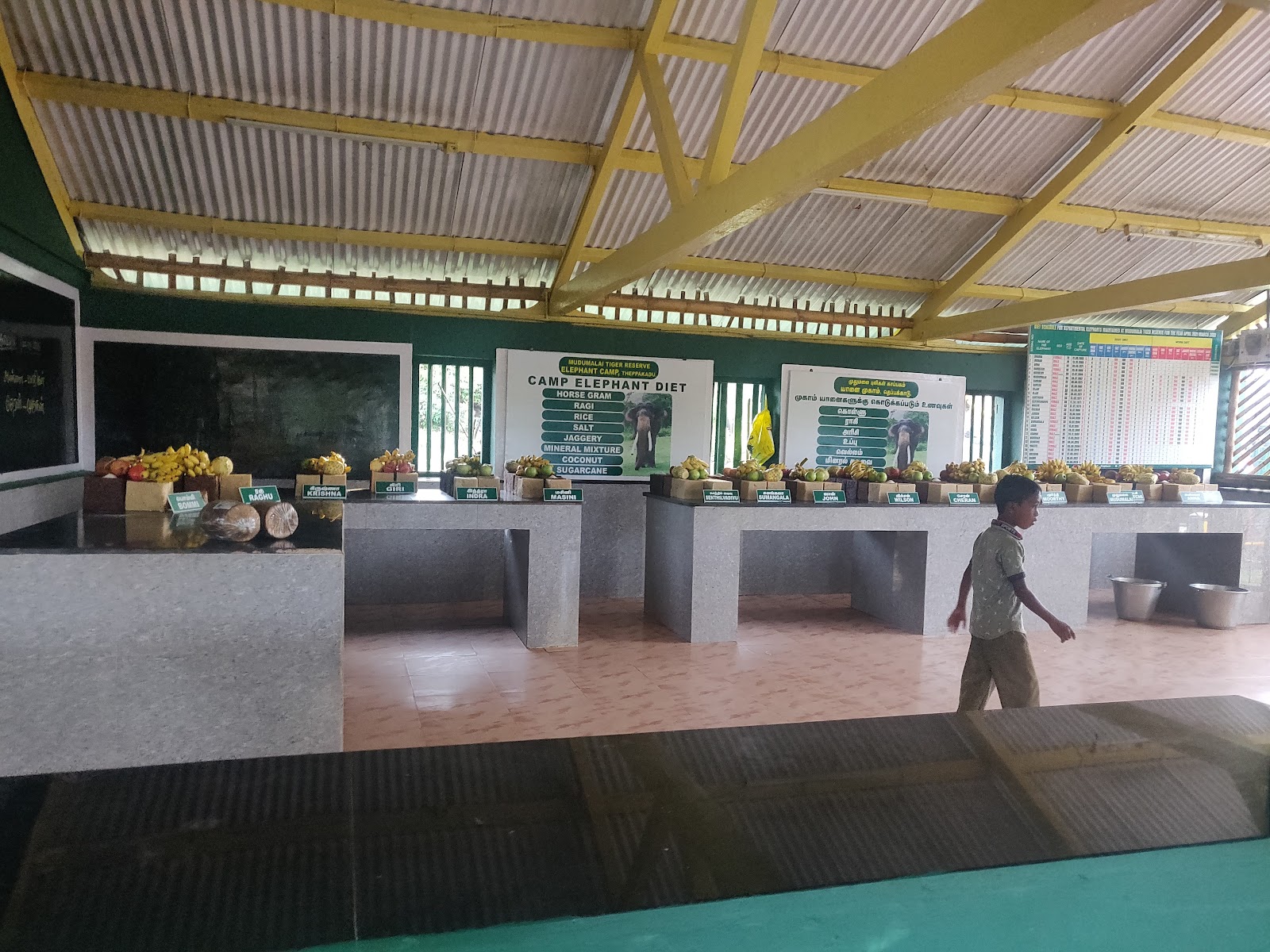 Theppakadu Elephant Camp