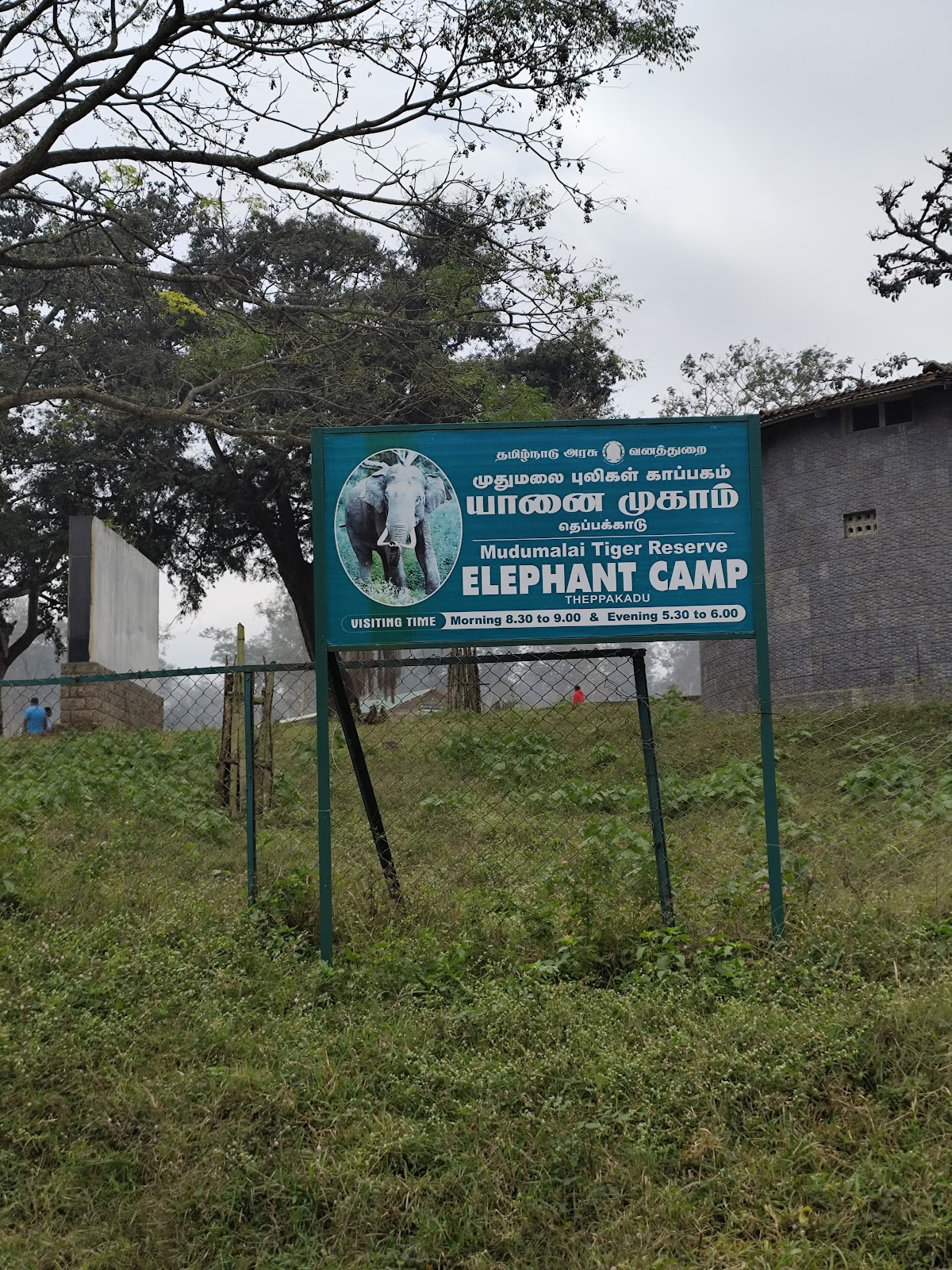 Theppakadu Elephant Camp