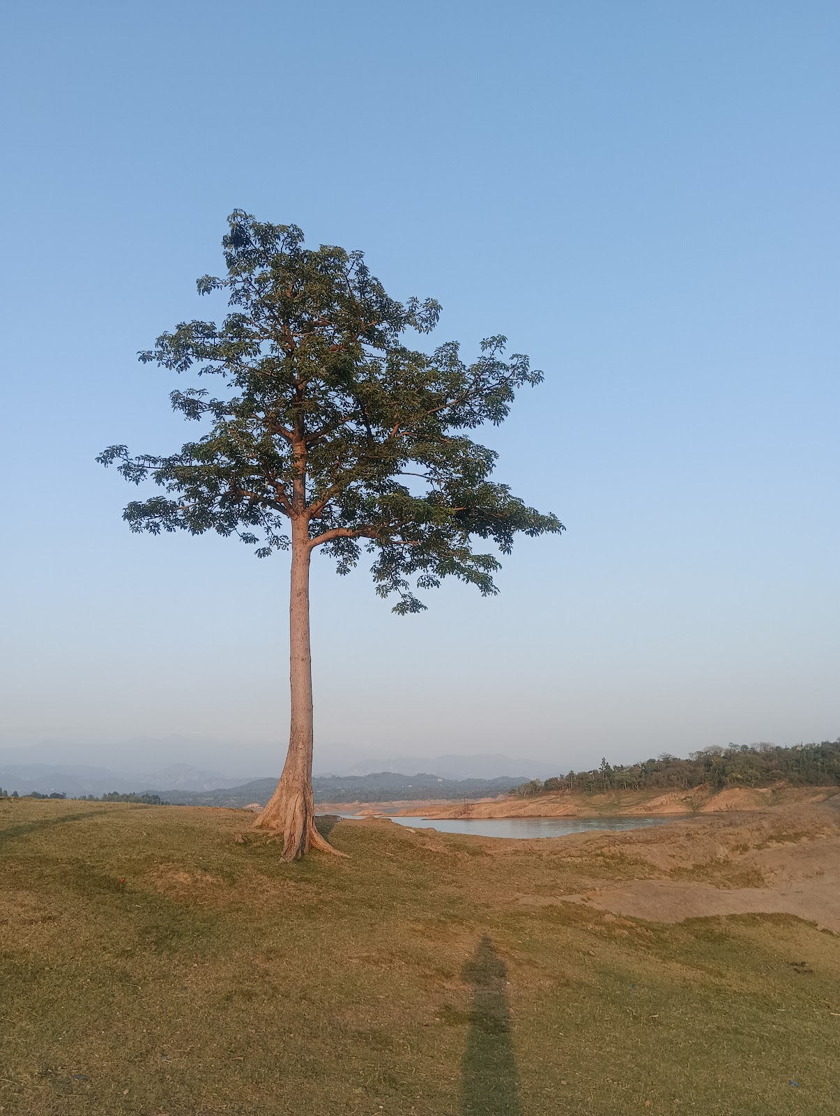 Riverfront Picnic Spot