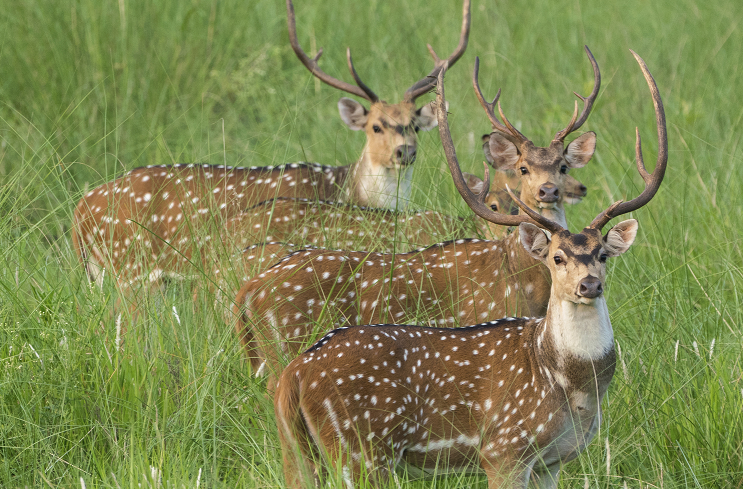 Takhni Rehmapur Wildlife Sanctuary