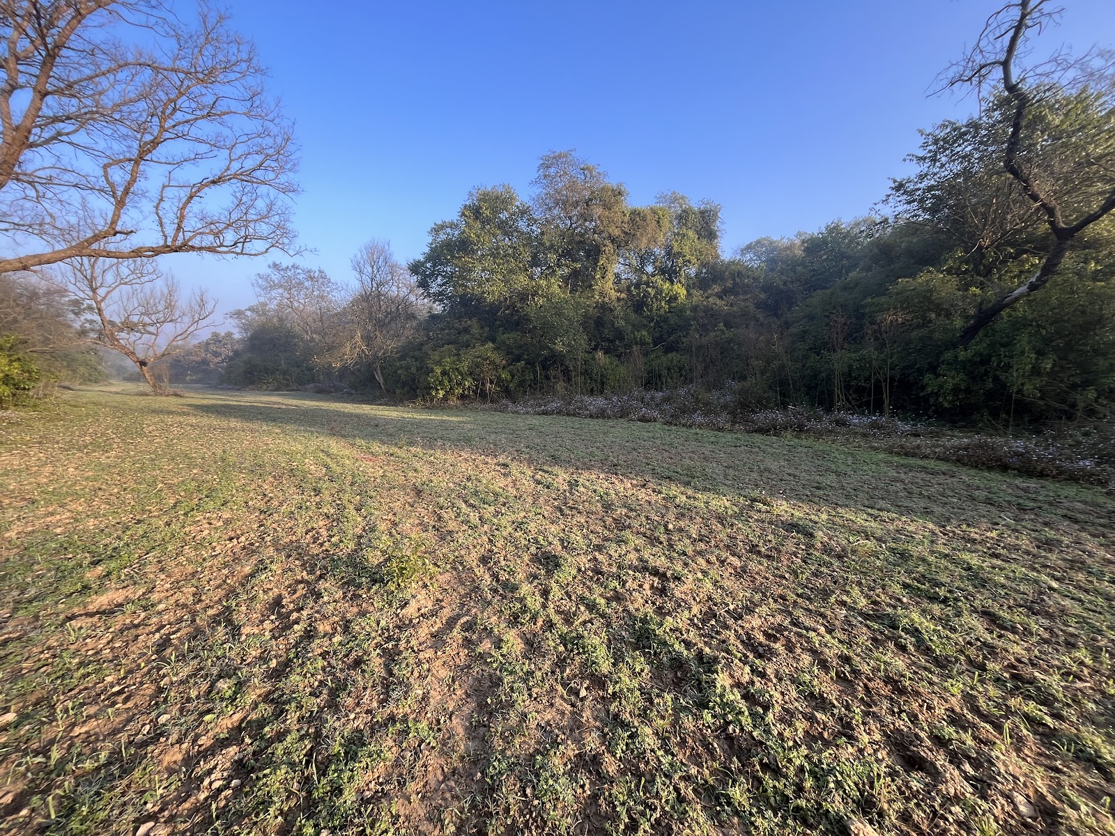 Takhni Rehmapur Wildlife Sanctuary