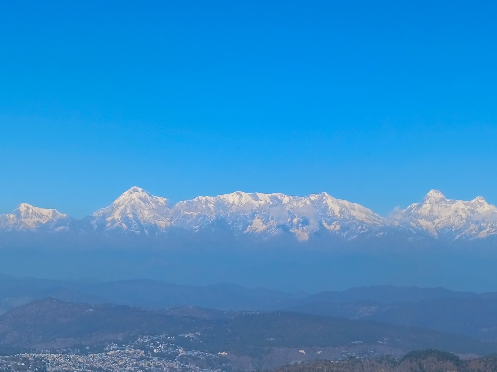 Indian Veterinary Research Institute