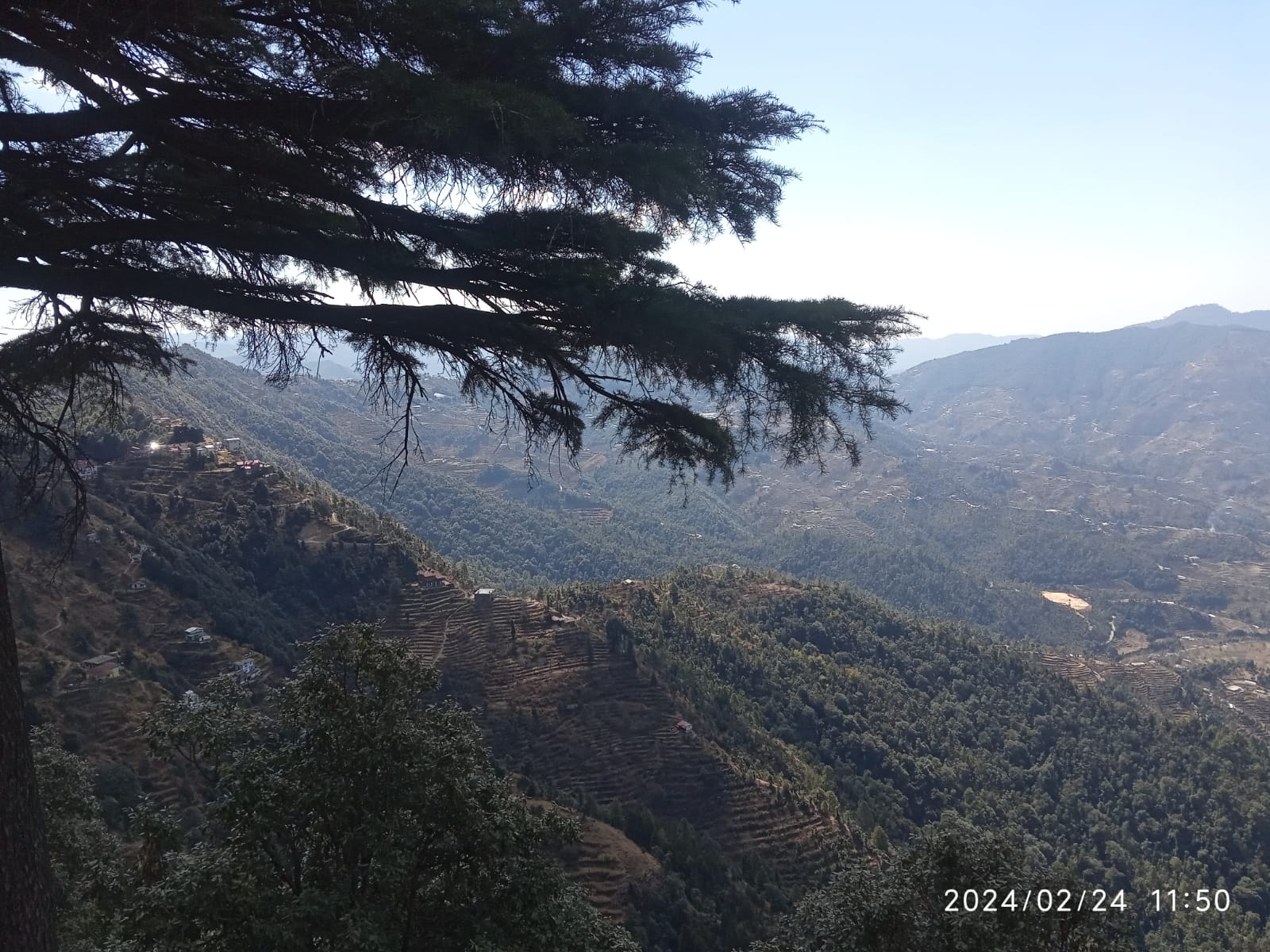 Indian Veterinary Research Institute