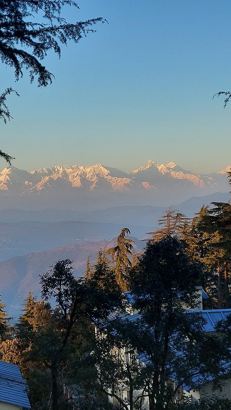 Indian Veterinary Research Institute