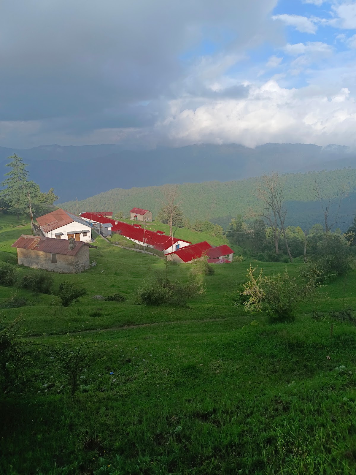 Indian Veterinary Research Institute