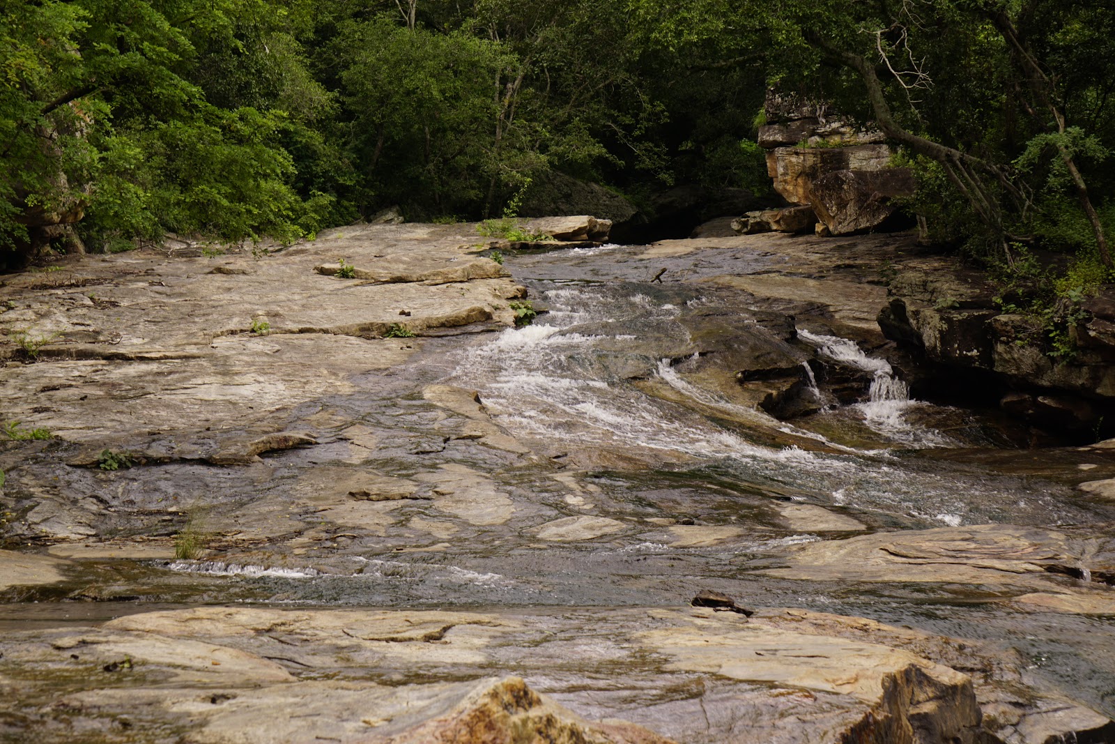 Chinnar Wildlife Sanctuary