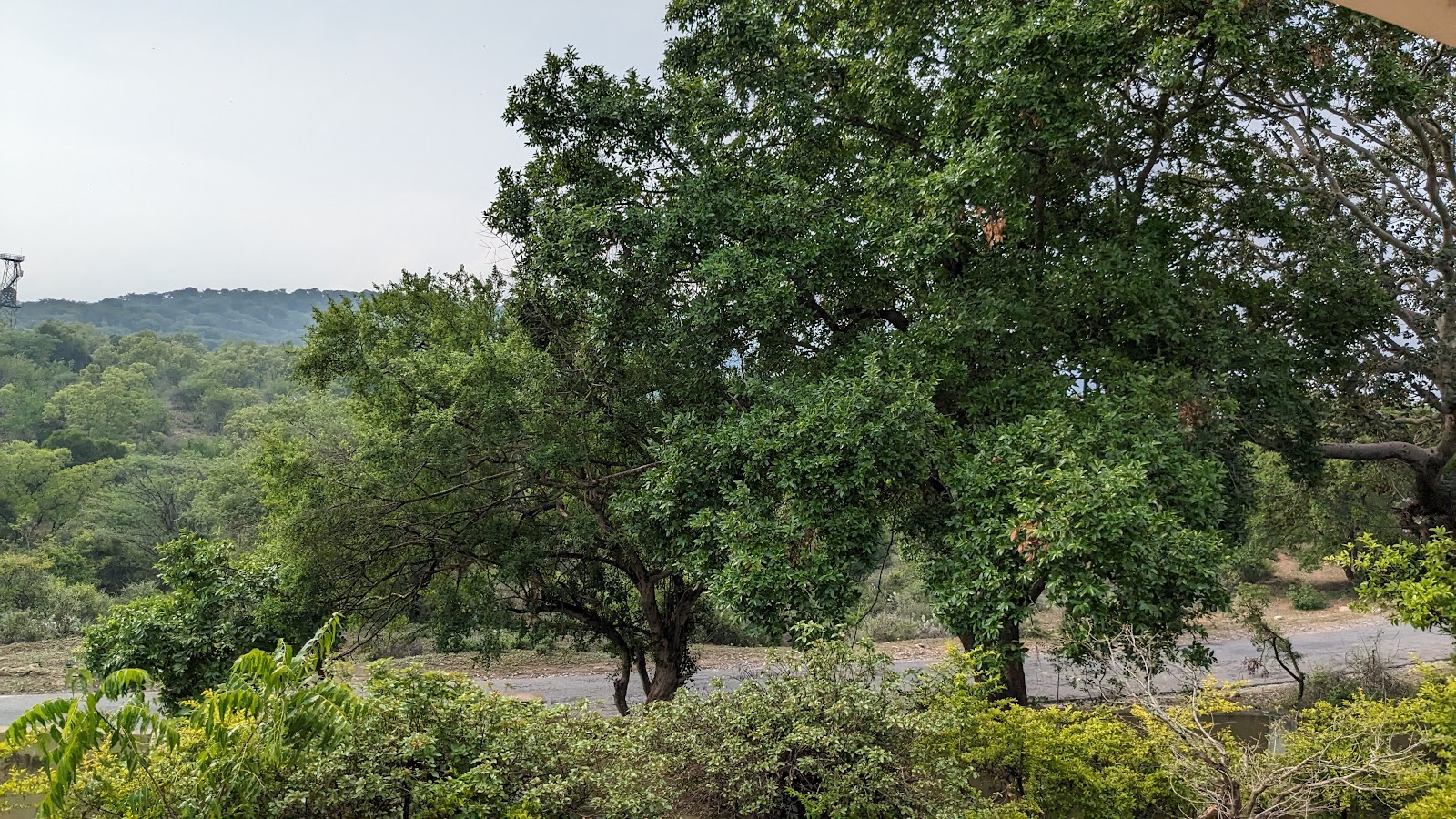 Chinnar Wildlife Sanctuary