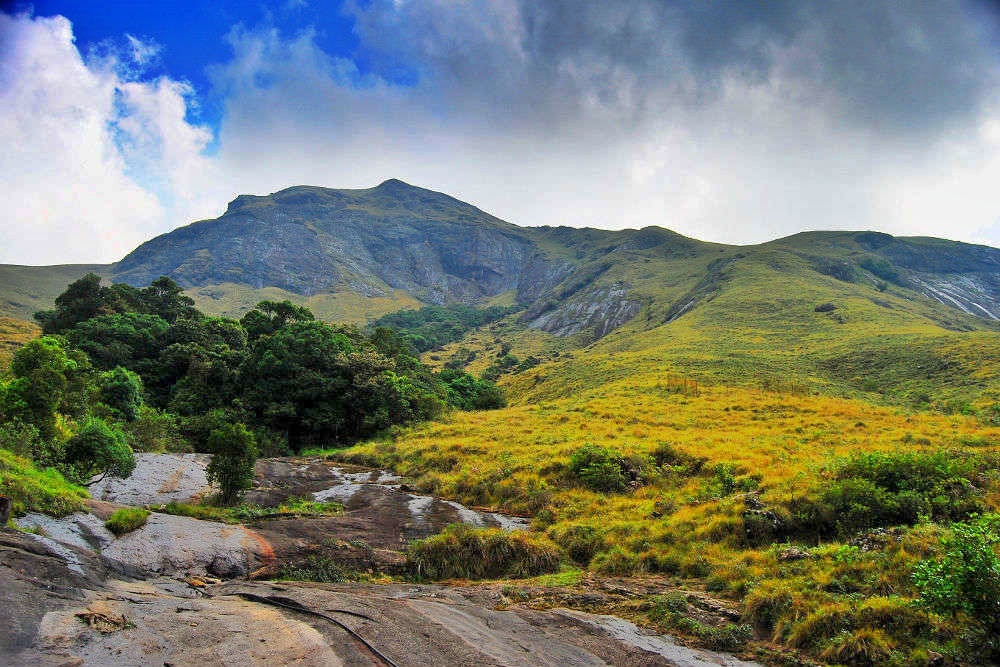 Munnar - The Scenic Hill Station of Kerala