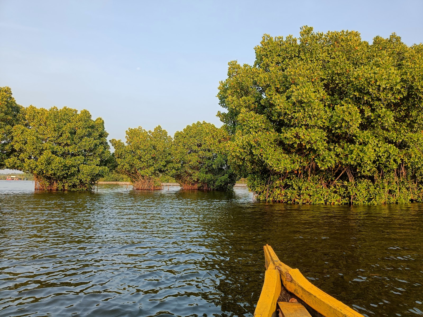 Ashtamudi Lake