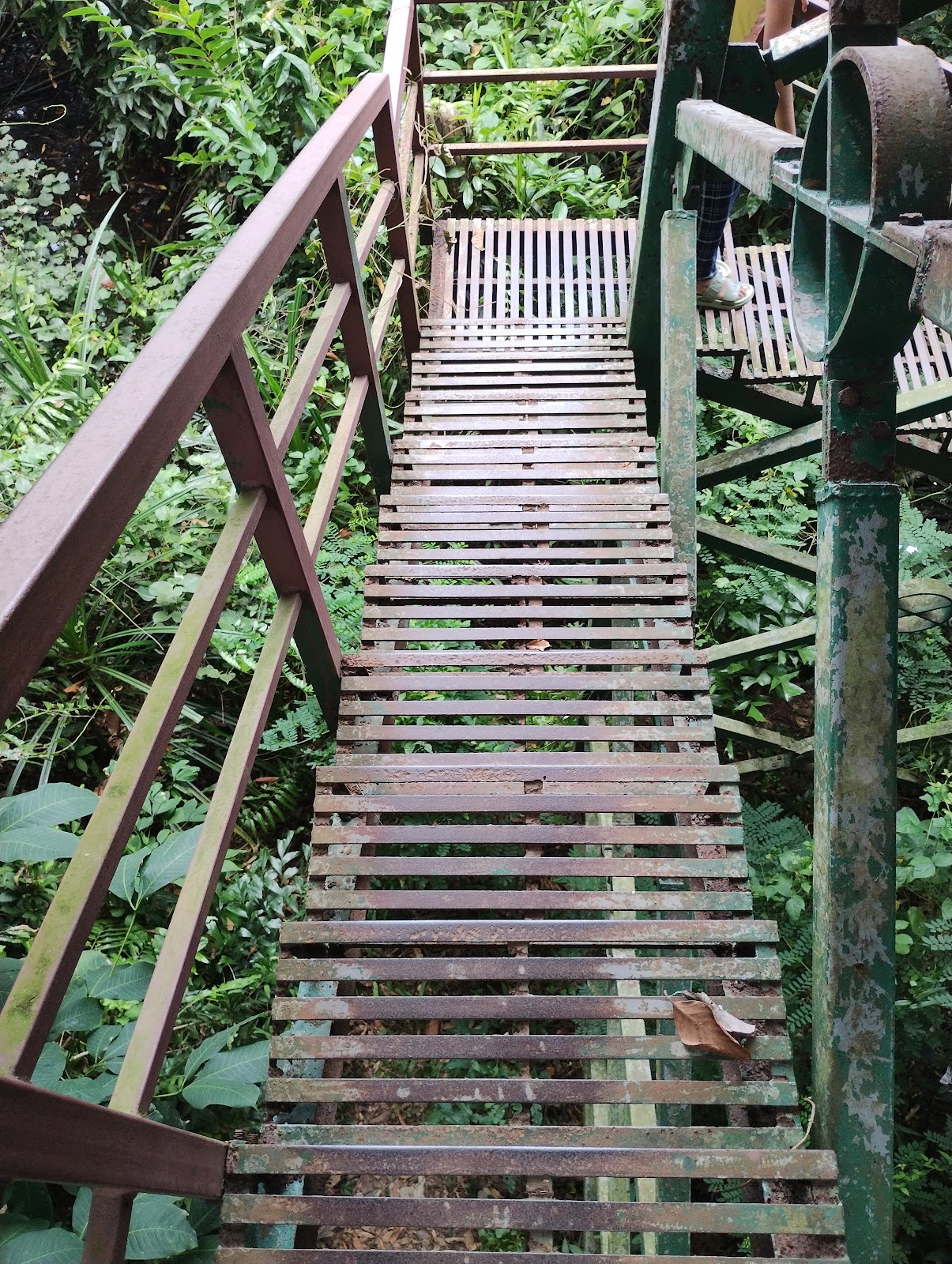 Kumarakom Bird Sanctuary