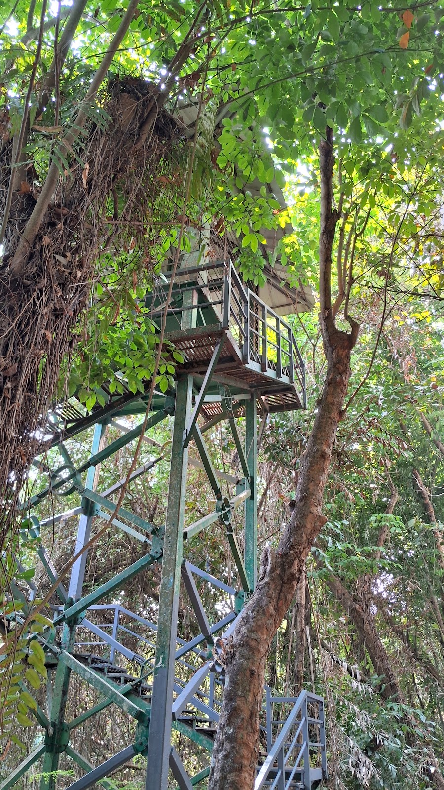 Kumarakom Bird Sanctuary