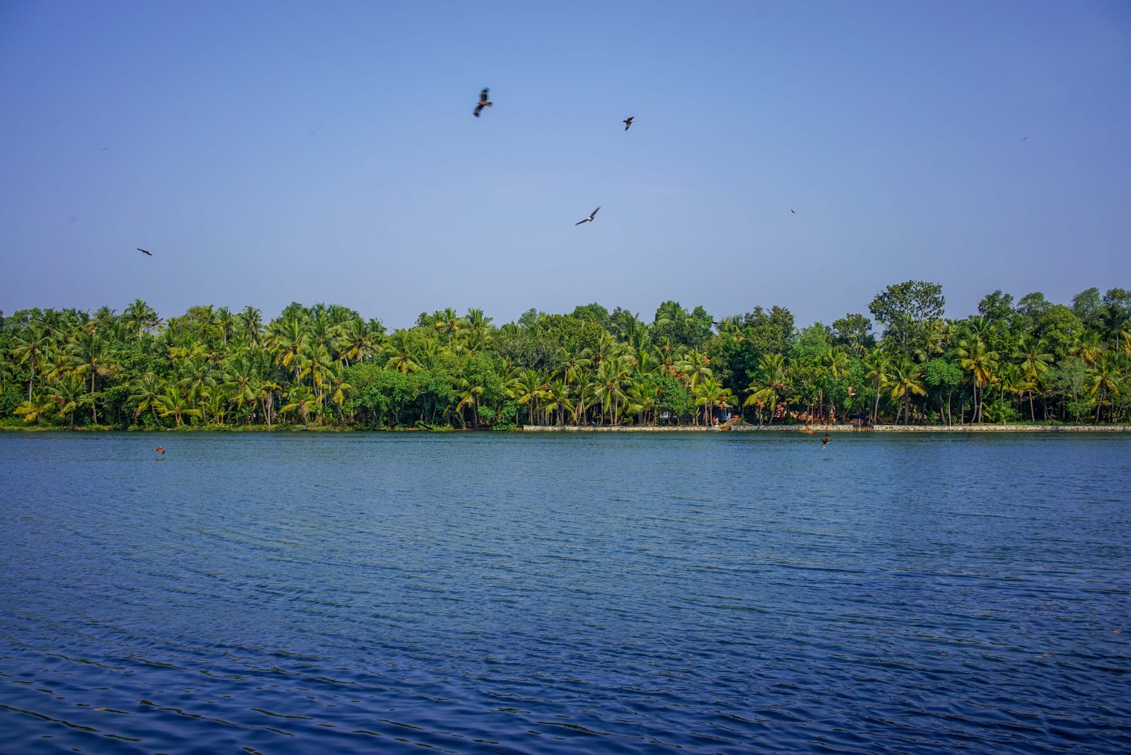 Munroe Island Heritage Walk