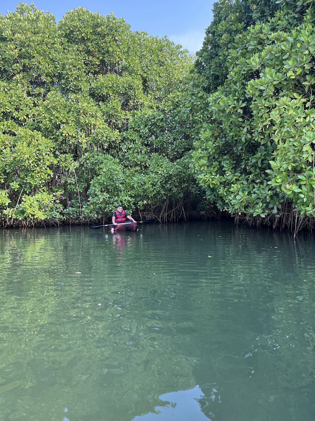 Sardar Vallabhbhai Patel Park