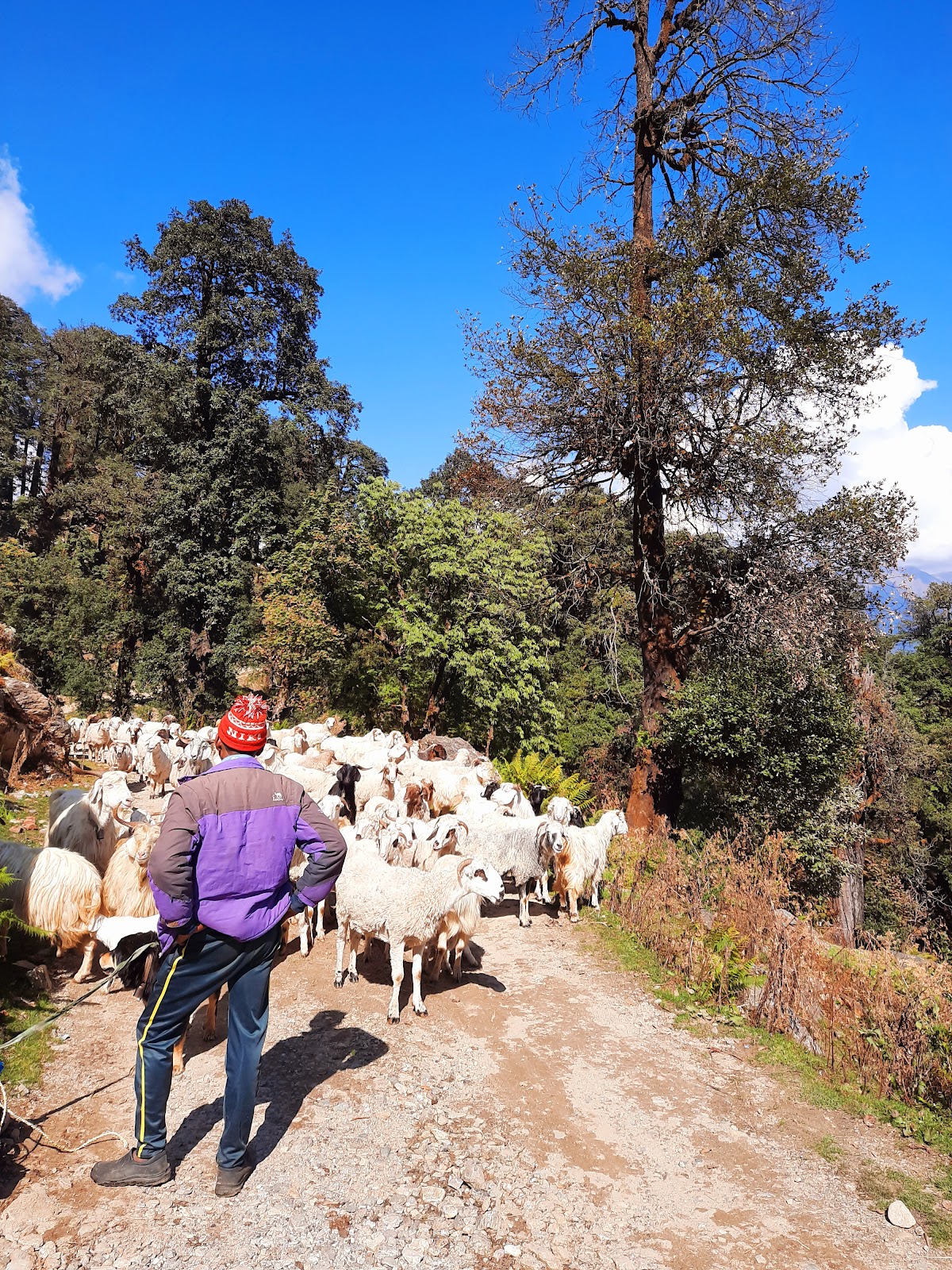 Munsiyari - A Scenic Hill Station in Uttarakhand, India