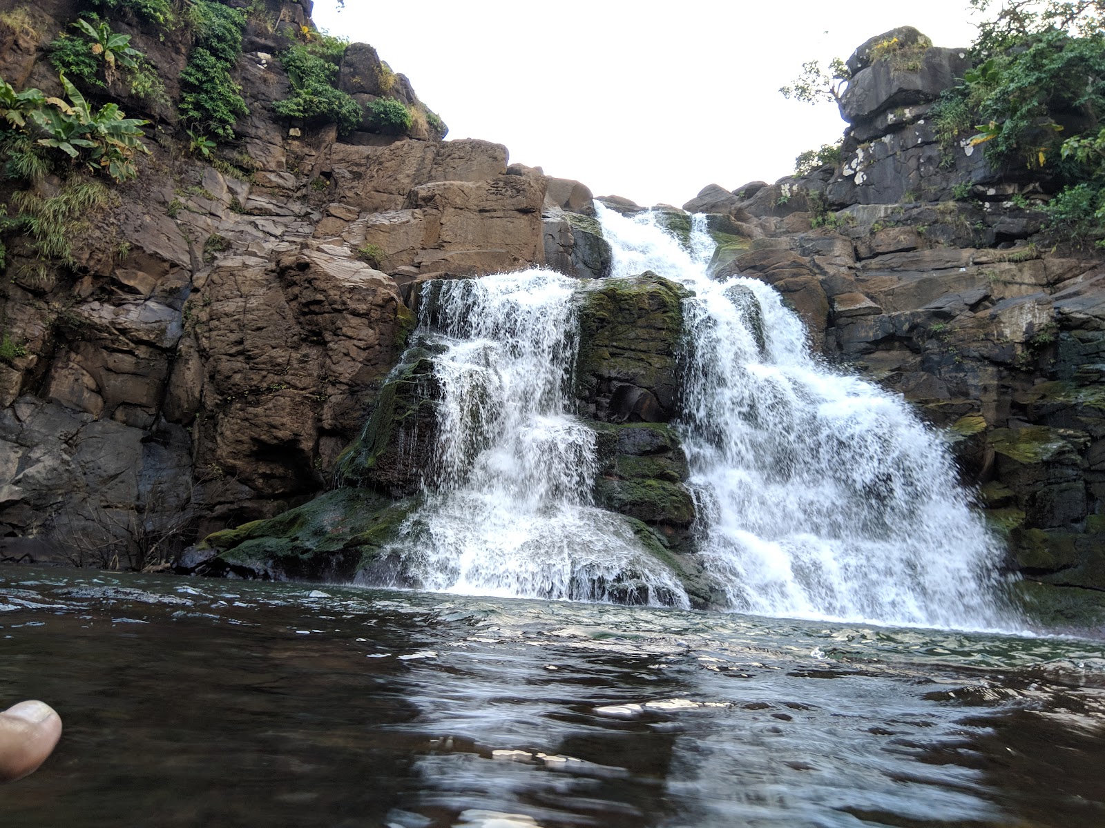 Bhimashankar Wildlife Sanctuary