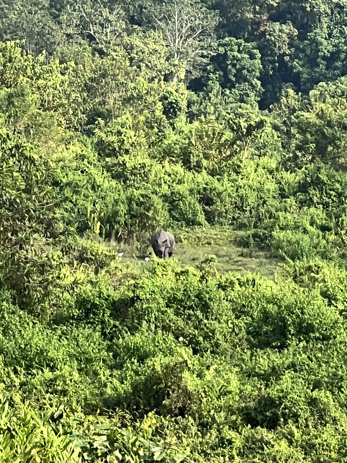 Jorpokhri Wildlife Sanctuary
