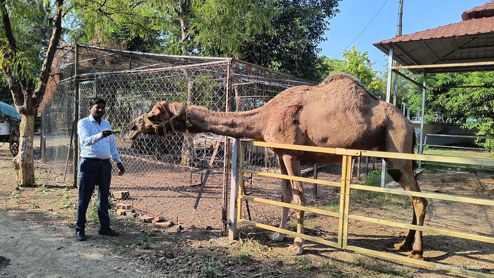 Sugarcane Fields Drive