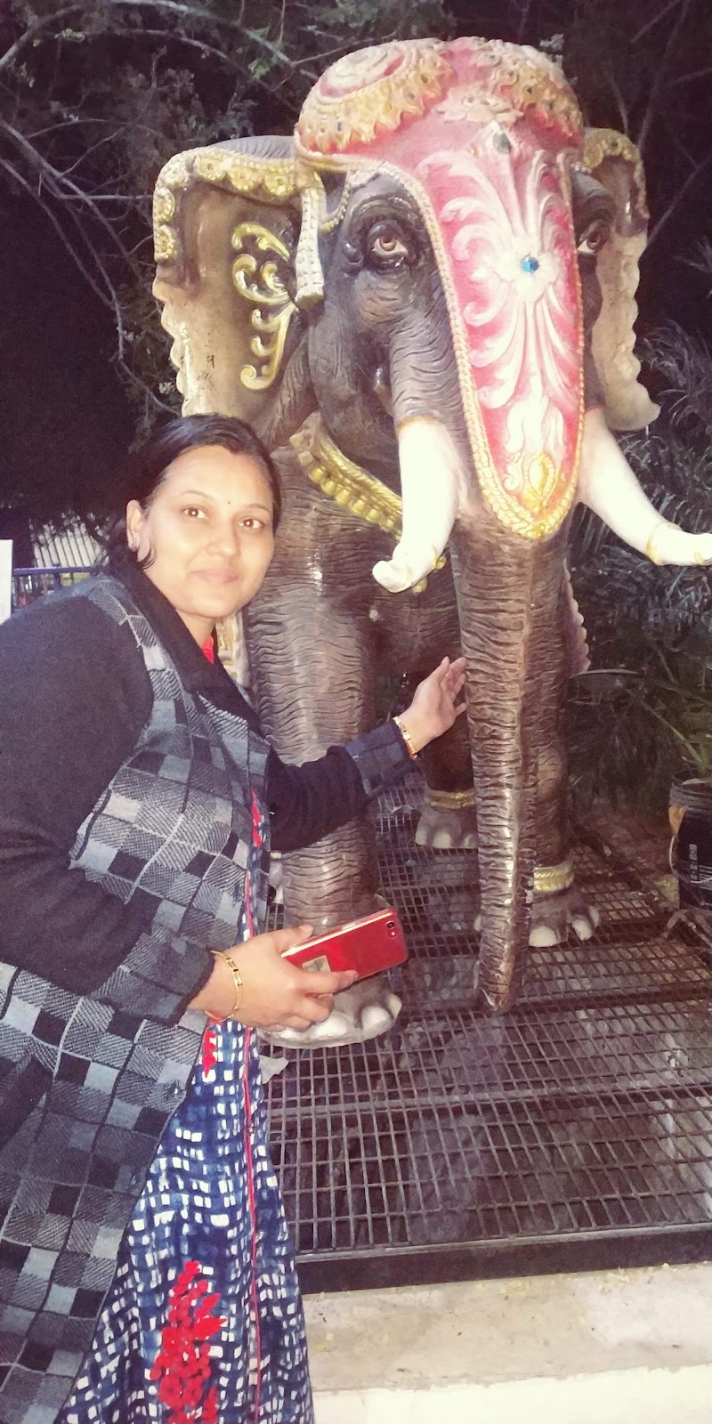 Sugarcane Fields Drive