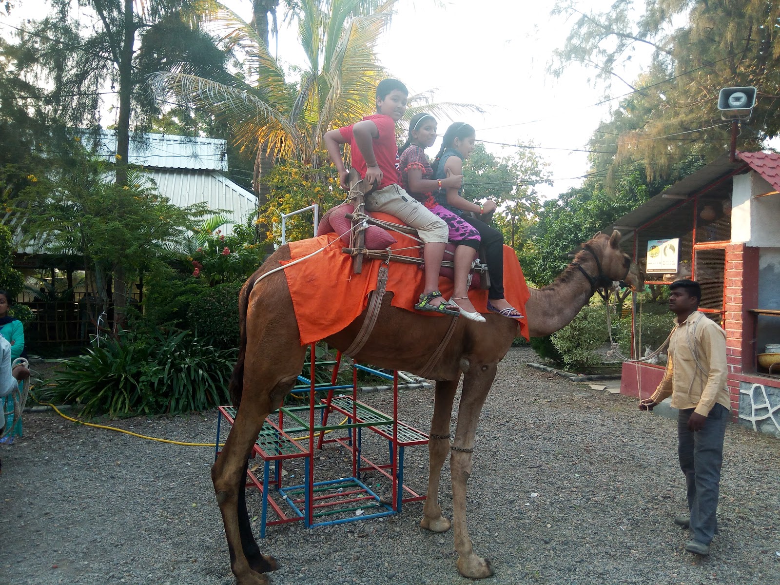 Sugarcane Fields Drive