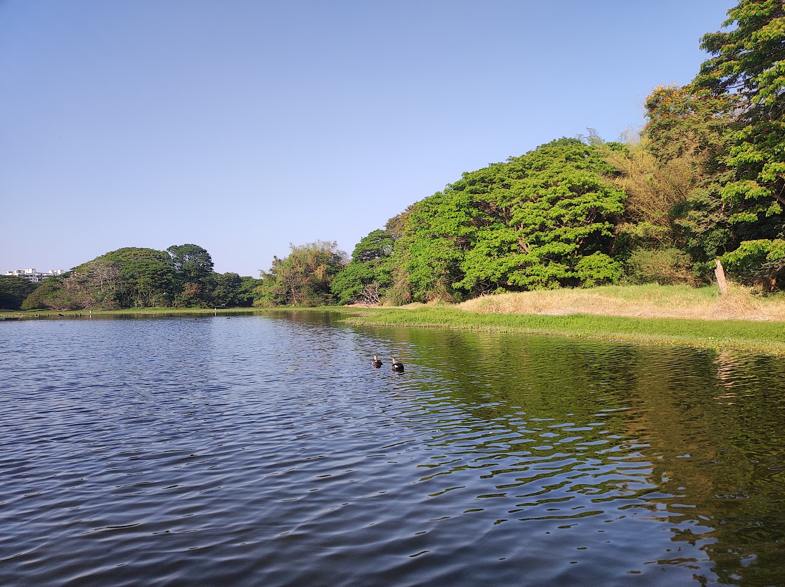 Karanji Lake