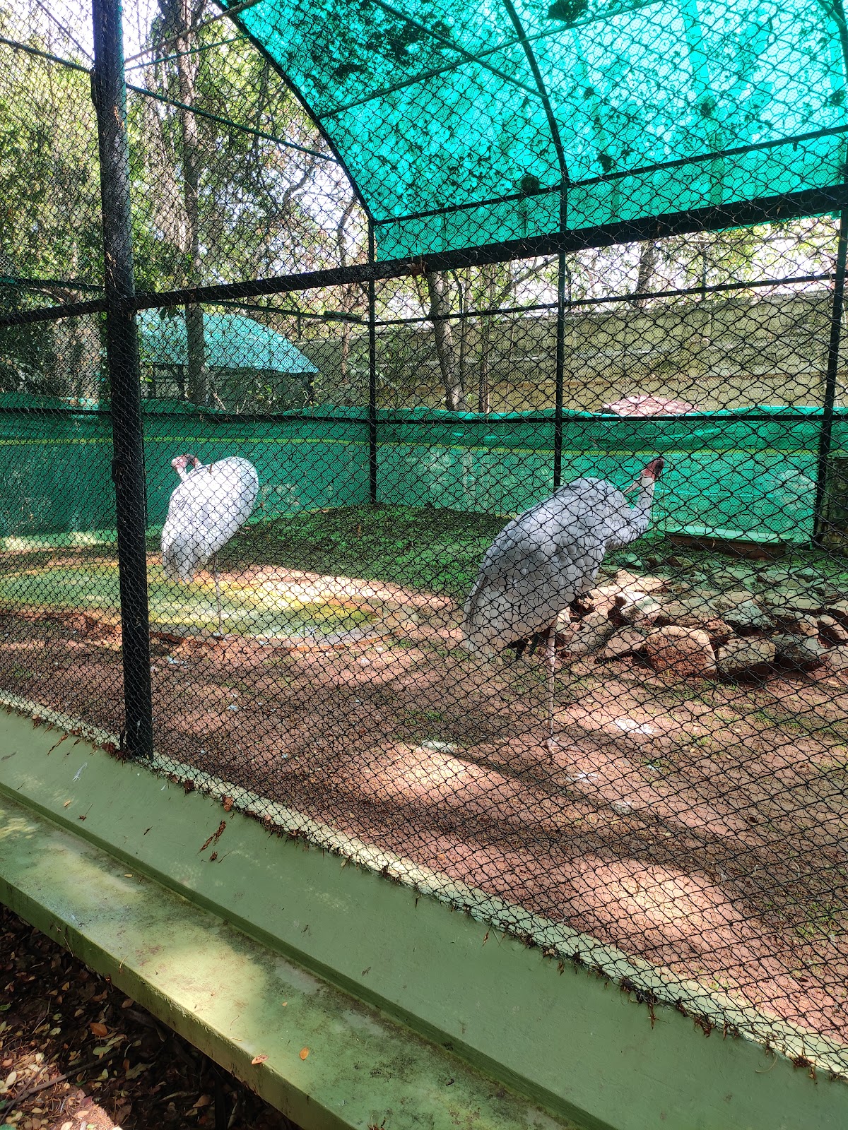 Mysore Zoo