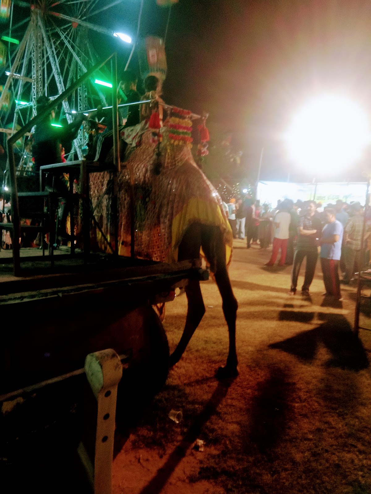 Nabha Botanical Garden