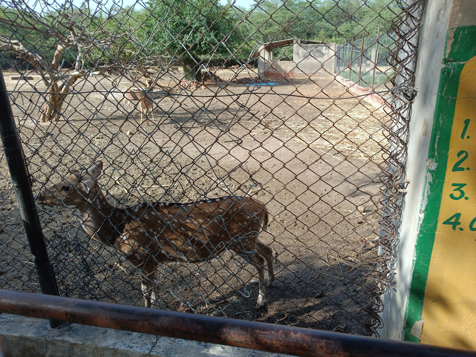 Nabha Zoo