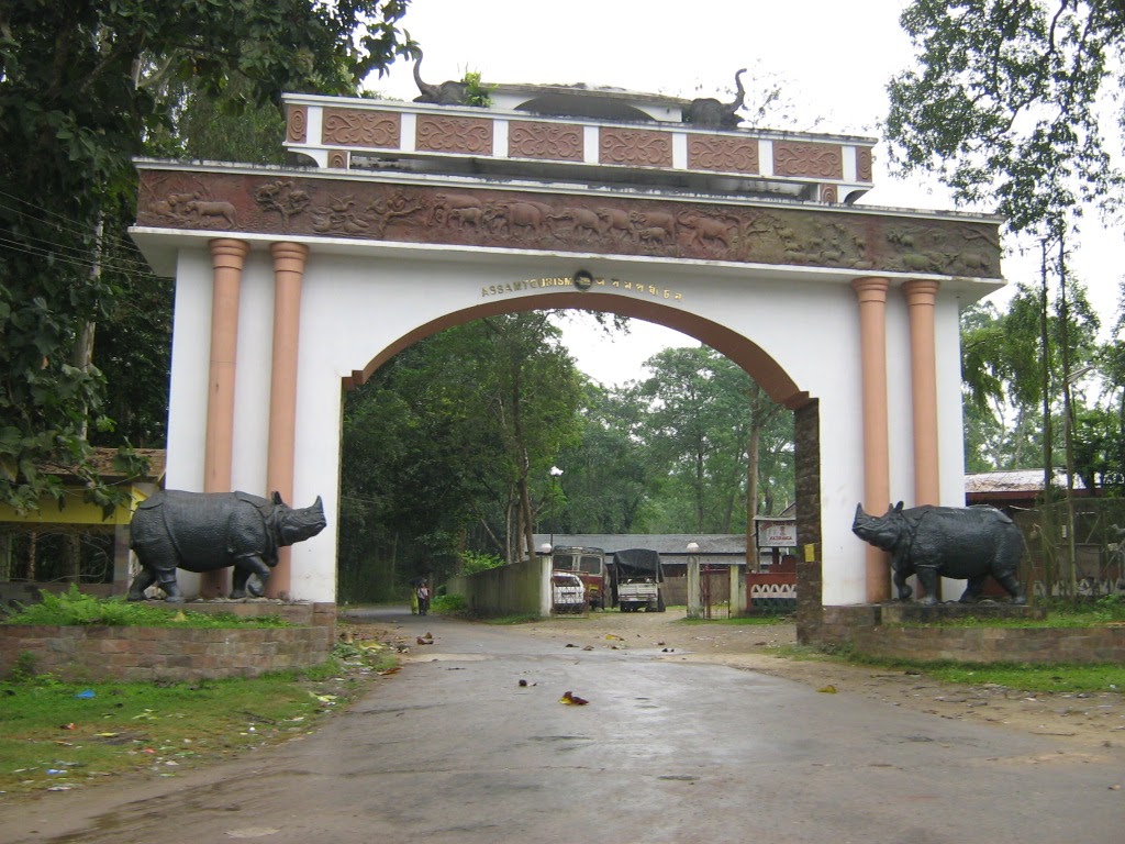 Kaziranga National Park