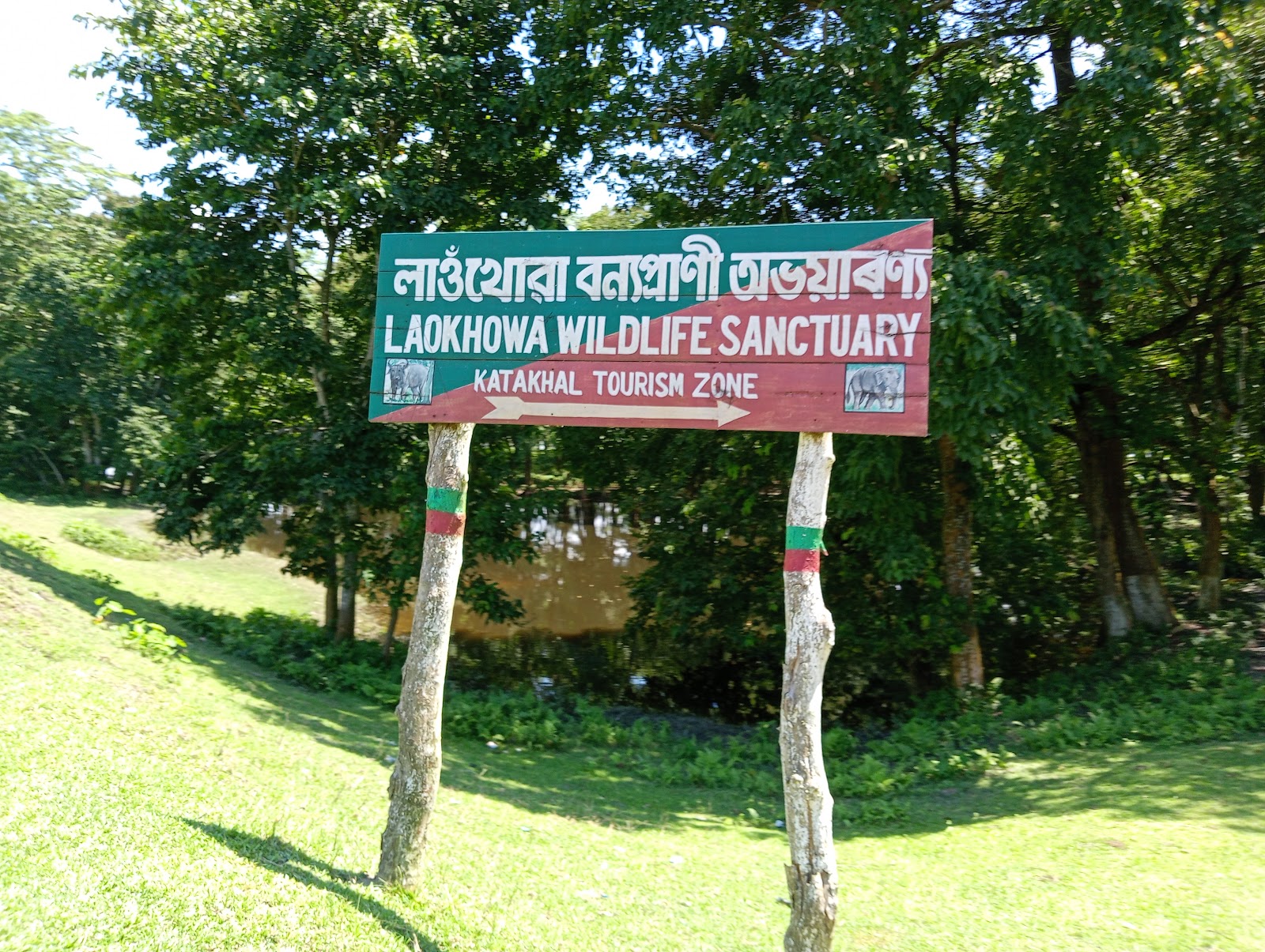 Laokhowa Wildlife Sanctuary